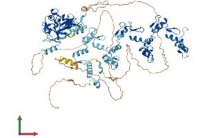 AlphaFold protein structure predicition of Human Recombinant PRDM9 Protein, UniprotID Q9NQV7