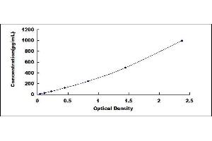 Typical standard curve (MANF Kit ELISA)