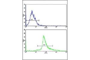 Flow cytometric analysis of HepG2 cells using Bax antibody (green) compared to a negative control cell (blue).