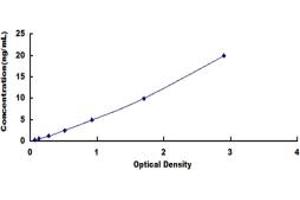 Diazepam Binding Inhibitor (DBI) ELISA Kit