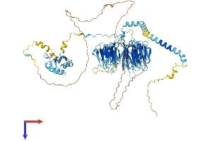 AlphaFold protein structure predicition of Human Recombinant EIF3B Protein, UniprotID P55884