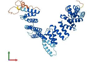 AlphaFold protein structure predicition of Mouse Recombinant Taf1a Protein, UniprotID P97357