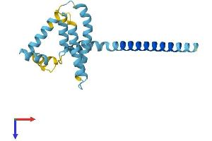 AlphaFold protein structure predicition of Mouse Recombinant Reep5 Protein, UniprotID Q60870