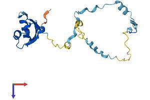 AlphaFold protein structure predicition of Mouse Recombinant Rcan2 Protein, UniprotID Q9JHG2