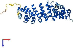 AlphaFold protein structure predicition of Mouse Recombinant Rsph14 Protein, UniprotID Q9D3W1