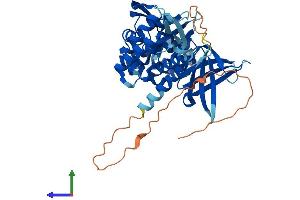 AlphaFold protein structure predicition of Mouse Recombinant Snx31 Protein, UniprotID Q6P8Y7