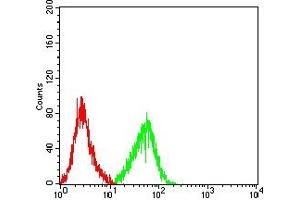 Flow cytometric analysis of HL-60 cells using CD256 mouse mAb (green) and negative control (red).