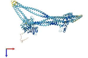 AlphaFold protein structure predicition of Human Recombinant SMC2 Protein, UniprotID O95347