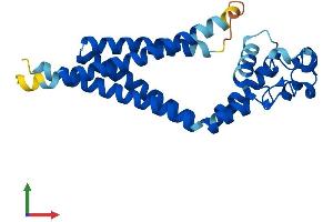 AlphaFold protein structure predicition of Human Recombinant TSPAN7 Protein, UniprotID P41732