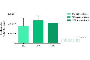 Comparison of the number of K562 cells bound to 10 µL Magnetic ConA Beads (Agarose) slurry at different concentrations.