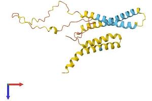 AlphaFold protein structure predicition of Human Recombinant TIMM23 Protein, UniprotID O14925