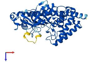 AlphaFold protein structure predicition of Human Recombinant MAB21L2 Protein, UniprotID Q9Y586