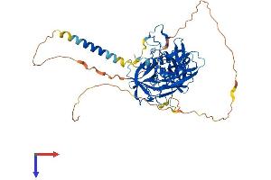 AlphaFold protein structure predicition of Mouse Recombinant Tmprss13 Protein, UniprotID Q5U405