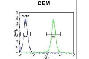 MNDA Antibody (N-term) (ABIN655190 and ABIN2844806) flow cytometric analysis of CEM cells (right histogram) compared to a negative control cell (left histogram). (MNDA anticorps  (N-Term))