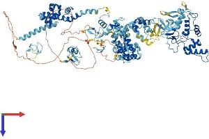 AlphaFold protein structure predicition of Human Recombinant RNF31 Protein, UniprotID Q96EP0