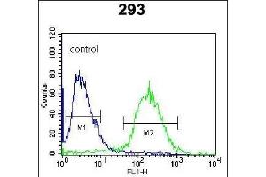 NL1 Antibody (C-term) 920a flow cytometric analysis of 293 cells (right histogram) compared to a negative control cell (left histogram).