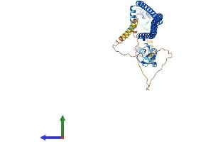 AlphaFold protein structure predicition of Human Recombinant TRIM31 Protein, UniprotID Q9BZY9