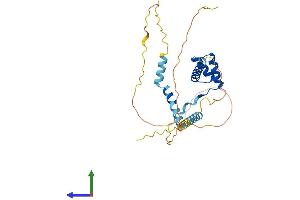 AlphaFold protein structure predicition of Mouse Recombinant Barx2 Protein, UniprotID O08686