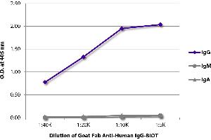 ELISA image for Goat anti-Human IgG antibody (ABIN376899)