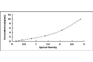 Slit Homolog 3 (SLIT3) ELISA Kit