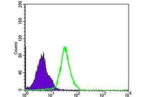 Flow cytometric analysis of MCF-7 cells using NFKB1 mouse mAb (green) and negative control (purple).