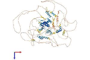 AlphaFold protein structure predicition of Human Recombinant TSHZ1 Protein, UniprotID Q6ZSZ6