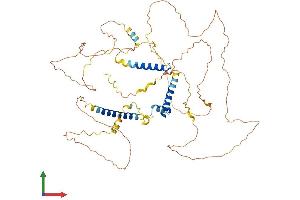 AlphaFold protein structure predicition of Human Recombinant SLAIN2 Protein, UniprotID Q9P270
