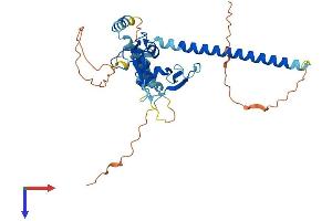 AlphaFold protein structure predicition of Mouse Recombinant Phf11 Protein, UniprotID A6H5X4