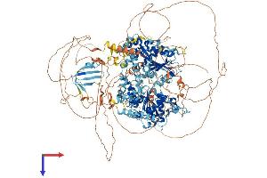 AlphaFold protein structure predicition of Human Recombinant RAD54L2 Protein, UniprotID Q9Y4B4