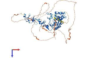 AlphaFold protein structure predicition of Mouse Recombinant Prickle3 Protein, UniprotID Q80VL3