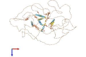 Spermatogenesis Associated 31 (SPATA31) (AA 1-1014) protein (His tag)