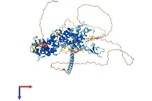 AlphaFold protein structure predicition of Mouse Recombinant Rasgrp1 Protein, UniprotID Q9Z1S3