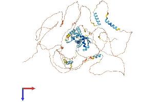 AlphaFold protein structure predicition of Human Recombinant E2F8 Protein, UniprotID A0AVK6