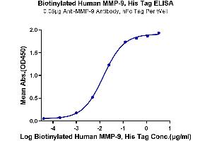 Immobilized Anti-MMP-9 Antibody, hFc Tag at 0.