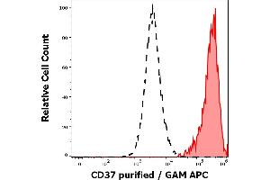 Separation of human CD37 positive lymphocytes (red-filled) from human CD37 negative lymphocytes (black-dashed) in flow cytometry analysis (surface staining) of peripheral whole blood stained using anti-human CD37 (MB-1) purified antibody (concentration in sample 0,2 μg/mL, GAM APC).