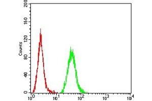 Flow cytometric analysis of Hela cells using COL3A1 mouse mAb (green) and negative control (red).