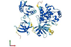 AlphaFold protein structure predicition of Mouse Recombinant Ptk6 Protein, UniprotID Q64434