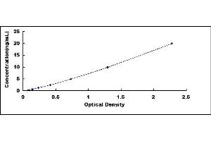 Typical standard curve (UCHL4 Kit ELISA)