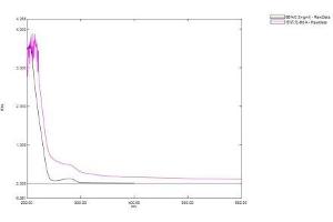 Dihydrotestosterone (DHT) protein (BSA)