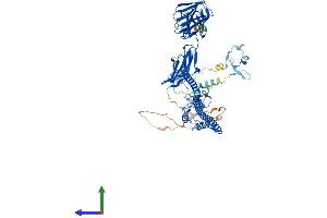 AlphaFold protein structure predicition of Human Recombinant TRIM9 Protein, UniprotID Q9C026