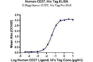 Immobilized Human CD27, His Tag at 0.