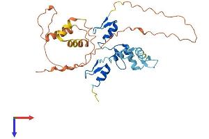AlphaFold protein structure predicition of Human Recombinant OSR2 Protein, UniprotID Q8N2R0