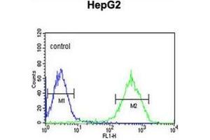 Flow cytometric analysis of HepG2 cells using NDUFA10 Antibody (Center) Cat. (NDUFA10 anticorps  (Middle Region))