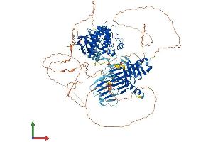 AlphaFold protein structure predicition of Human Recombinant PLK4 Protein, UniprotID O00444