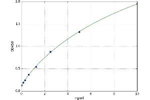 Notch 2 (NOTCH2) ELISA Kit