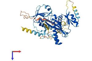 AlphaFold protein structure predicition of Human Recombinant TTLL9 Protein, UniprotID Q3SXZ7