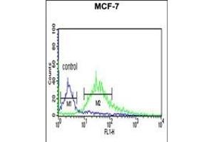 LXN Antibody (ABIN6242431 and ABIN6579060) flow cytometric analysis of MCF-7 cells (right histogram) compared to a negative control cell (left histogram). (Latexin anticorps)