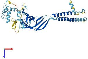 AlphaFold protein structure predicition of Human Recombinant ERGIC3 Protein, UniprotID Q9Y282