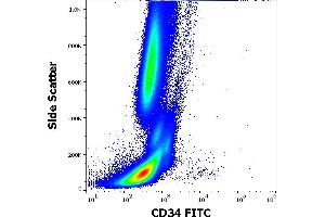 Flow cytometry surface staining pattern of human peripheral whole blood stained using anti-human CD34 (581) FITC antibody (4 μL reagent / 100 μL of peripheral whole blood).
