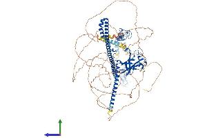 AlphaFold protein structure predicition of Mouse Recombinant Trim37 Protein, UniprotID Q6PCX9